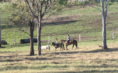414 Glenbar Road, WOOCOO  QLD  4620